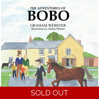 The Adventures of Bobo